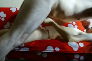 Live ABG Bispak Hotel Mewah Skandal Terbaru 2026 Lumer